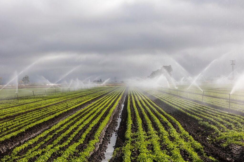 irrigation, agriculture, farm-7262563.jpg